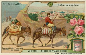 Sofia und ein Händler, der Rosenessenz transportiert von European School