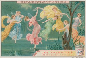 Sylphen tanzen im Mondlicht von European School