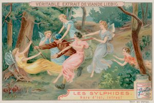 Sylphen und ein Eindringling von European School