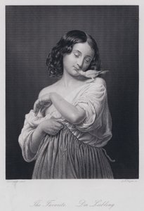 Der Favorit (Stich) von European School