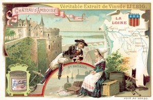 Die Loire und ein Blick auf das Schloss von Amboise von European School