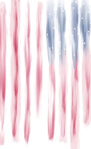 Amerikanische Waffengewalt von Evan Sklar