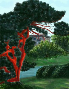 Nadelbaum bei Litchfield Villa, Prospect Park von Evan Sklar
