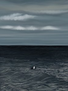 Möwe auf Wasser und stürmischer Himmel von Evan Sklar