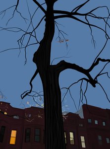 Häuser und Baum bei Nacht, Brooklyn von Evan Sklar