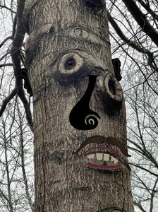 Baumgesicht von Evan Sklar