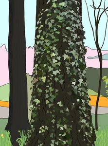 Baum mit Efeu von Evan Sklar