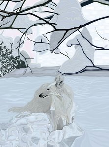 Weißer Hund im Schnee von Evan Sklar