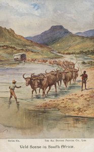 Bauern treiben Vieh, Südafrika (Farblithografie) von Evelyn Stuart Hardy