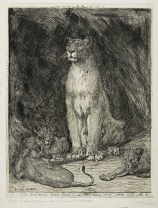 Sitzende Löwin und drei Junge, 1888 von Evert van Muyden