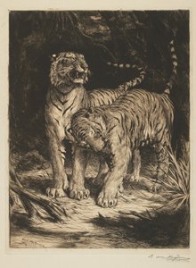 Zwei Tiger