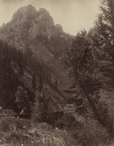 Ohne Titel, ca. 1884