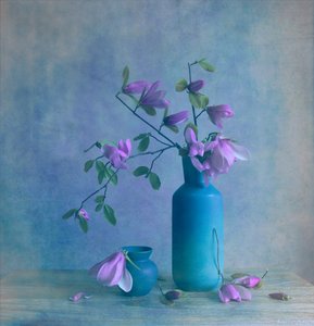 Blaue Magnolie Stillleben von Fangping Zhou