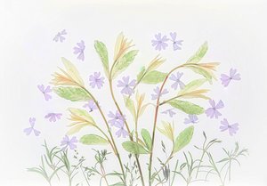 Schwebende Pastellbotanicals von Fangping Zhou