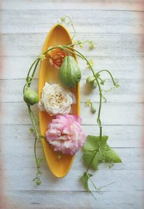 Rustikale Rose und Chayote