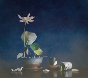 Serenes Lotus-Stillleben von Fangping Zhou
