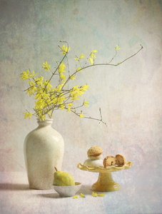 Gelbe Forsythienfreuden