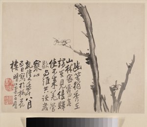 Album der blühenden Pflaume von Fangying Li