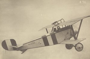 [Profil eines fliegenden Nieuport 17 (Flugzeug)] von Fedele Azari