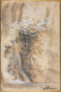 Blühender Busch über einem erodierten Ufer von Federico Barocci