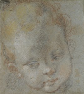 Recto: Kopf eines Kindes von Federico Barocci