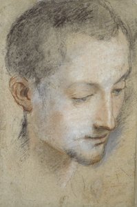 Studie eines jungen Männerkopfes von Federico Barocci