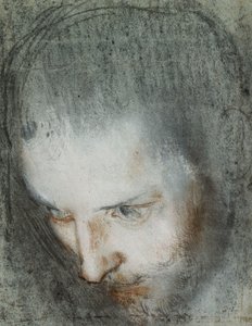 Kopf des Heiligen Franziskus, nach oben links blickend von Federico Fiori Barocci or Baroccio