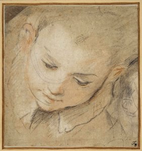 Kopf eines nach unten schauenden Jungen von Federico Fiori Barocci or Baroccio