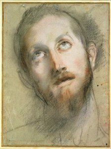 Studie für den Kopf Christi