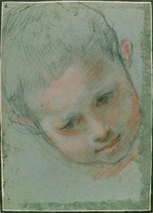 Der Kopf eines Jungen, ca. 1586-89 von Federico Fiori Barocci or Baroccio