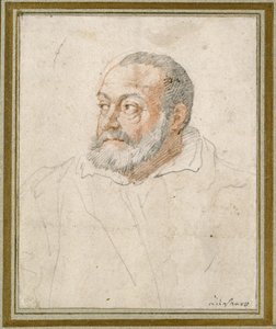 Porträt eines Mannes von Federico Zuccaro