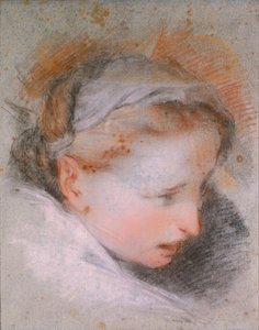 Kopf einer Frau von Federigo Barocci