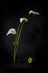 Calla-Lilien und Apfel