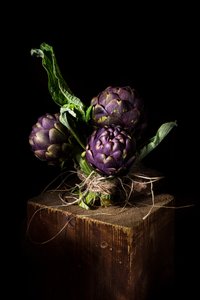Lebendige violette Artischocken