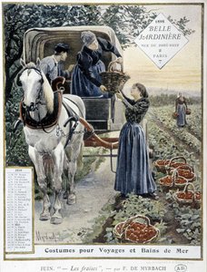 Erdbeeren pflücken - von Myrbach, Kalender 