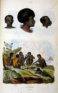 Anthropologische Illustration, die die äthiopische Rasse darstellt