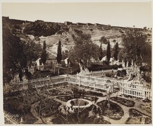 Garten von Gethsemane #303 von Félix Bonfils