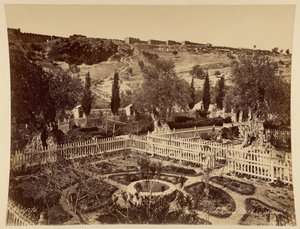 Garten von Gethsemane von Félix Bonfils