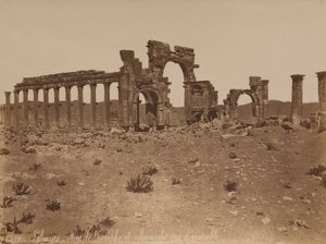Palmyra: Überblick über den Triumphbogen und die Kolonnade von Félix Bonfils