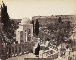 Blick auf den Garten von Gethsemane oder den Olivenhain, in dem Christus laut Überlieferung seine letzten Tage verbrachte