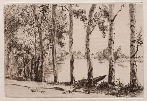 Espen am Ufer der Seine von Felix Bracquemond