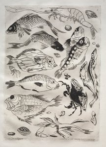 Tafelservice (Rousseau-Service): Fisch (Nr. 24) von Felix Bracquemond