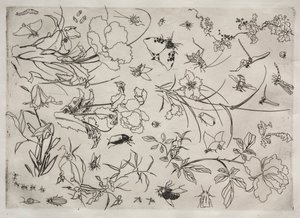 Tafelservice (Rousseau-Service): Blumen und Insekten (Nr. 15) von Felix Bracquemond