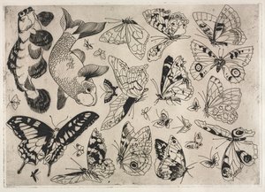 Tafelservice Rousseau: Schmetterlinge und Fische Nr. 16, 1866 von Felix Bracquemond