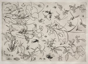 Tafelservice Rousseau-Service: Blumen und Insekten Nr. 15, 1866 von Felix Bracquemond