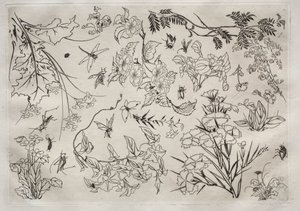 Tafelservice Rousseau-Service: Blumen Nr. 22, 1866 von Felix Bracquemond