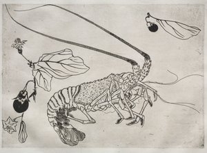 Großer Hummer mit erhobenen Antennen Nr. 21, 1866 von Felix Bracquemond