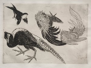 Tafelservice Rousseau: Fasane und Vogel Nr. 18, 1866 von Felix Bracquemond