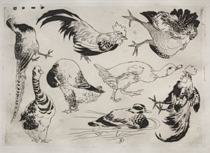 Tafelservice Rousseau: Hähne, Enten usw. Nr. 13, 1866