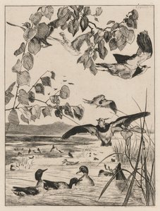 Kiebitze und Krickenten, 1862